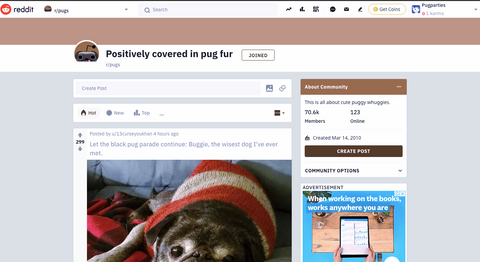 Reddit r/Pug page