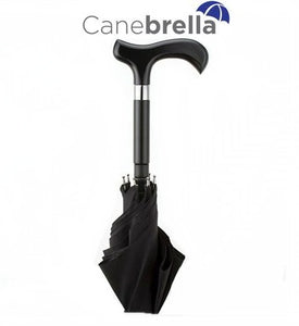 best umbrella cane