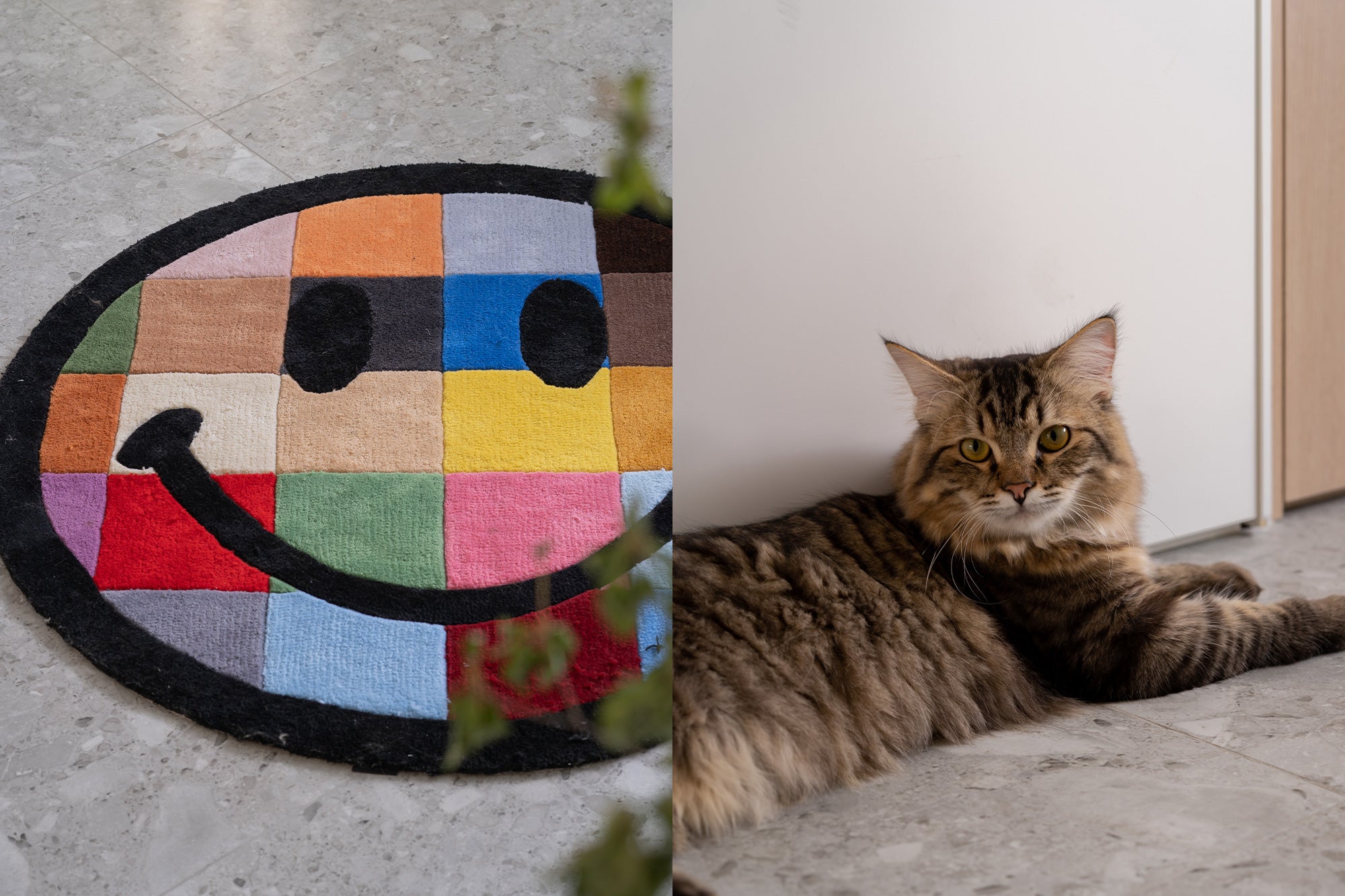 Smiley floor mat and cat