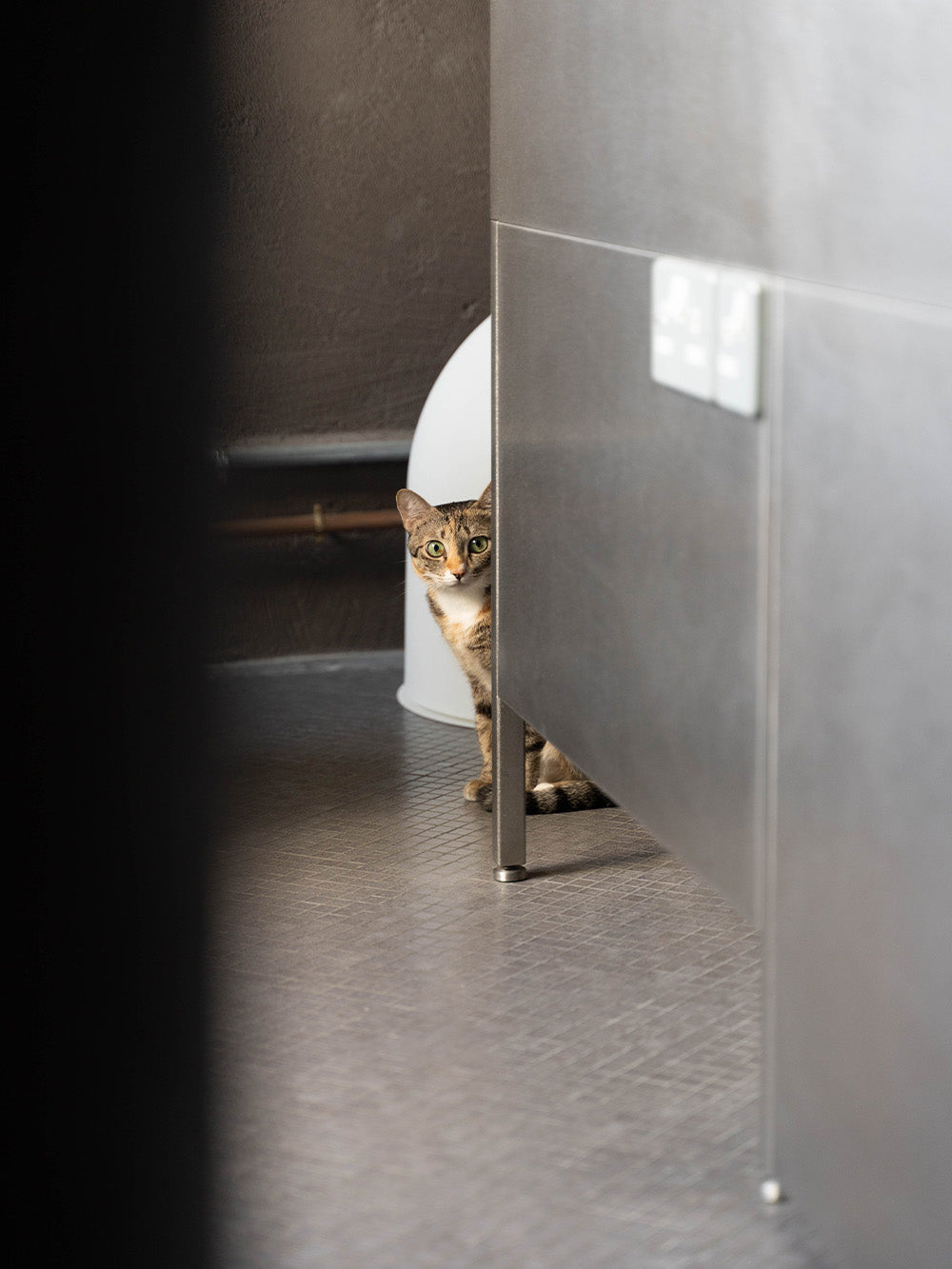 Cat peeking out from behind a cabinet