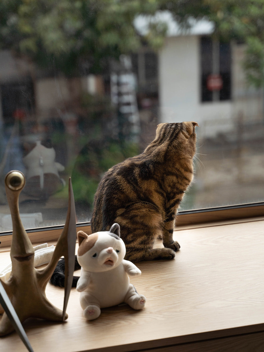 SOJAO-house-to-home-tour-journal-loftandorder-loft-cat-at-window.jpg