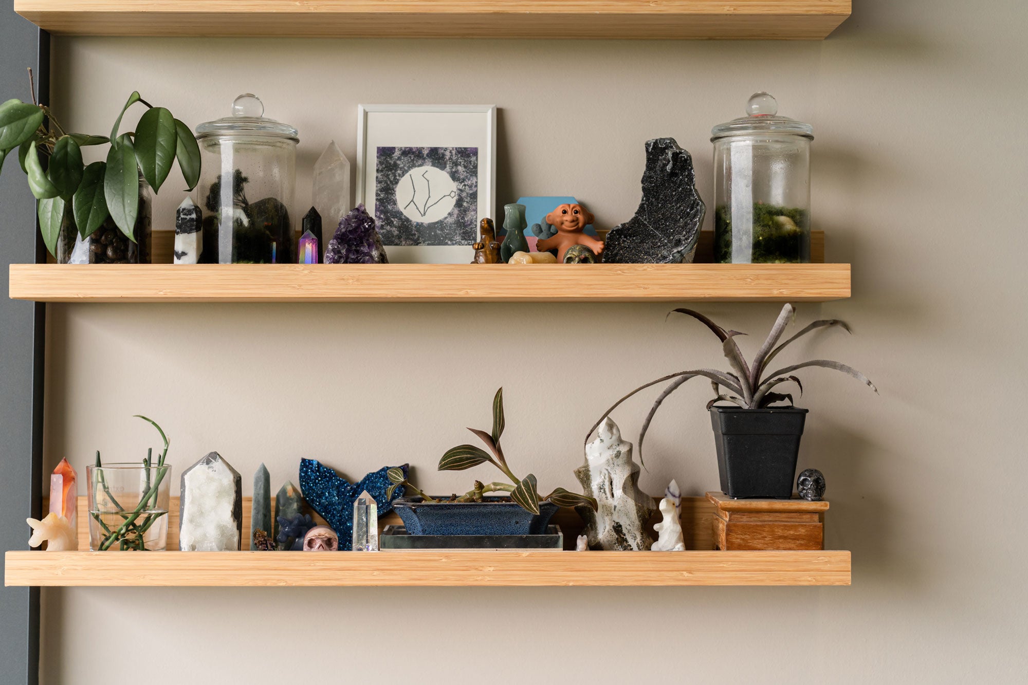 wooden shelf displaying rare plants and crystals__Sojao_house_to_home