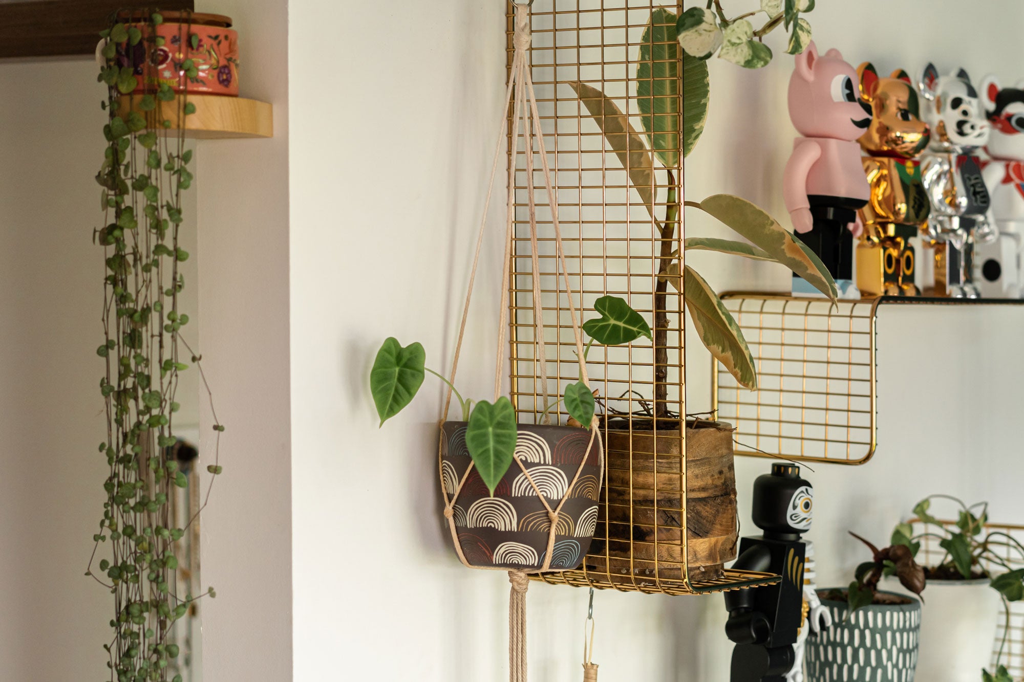 String of hearts and alocasia house plants on ikea gold shelf__Sojao_house_to_home