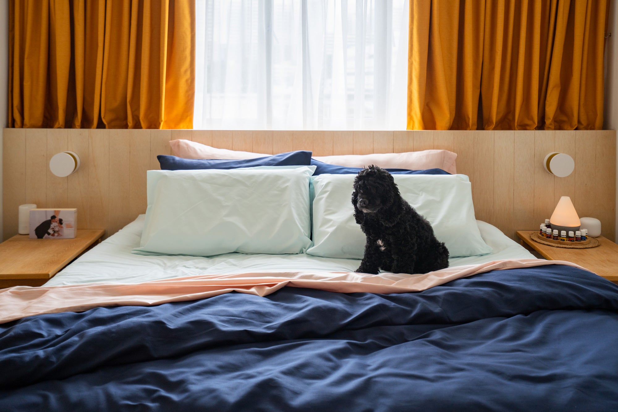 sojao organic cotton bedsheets with cute black dog