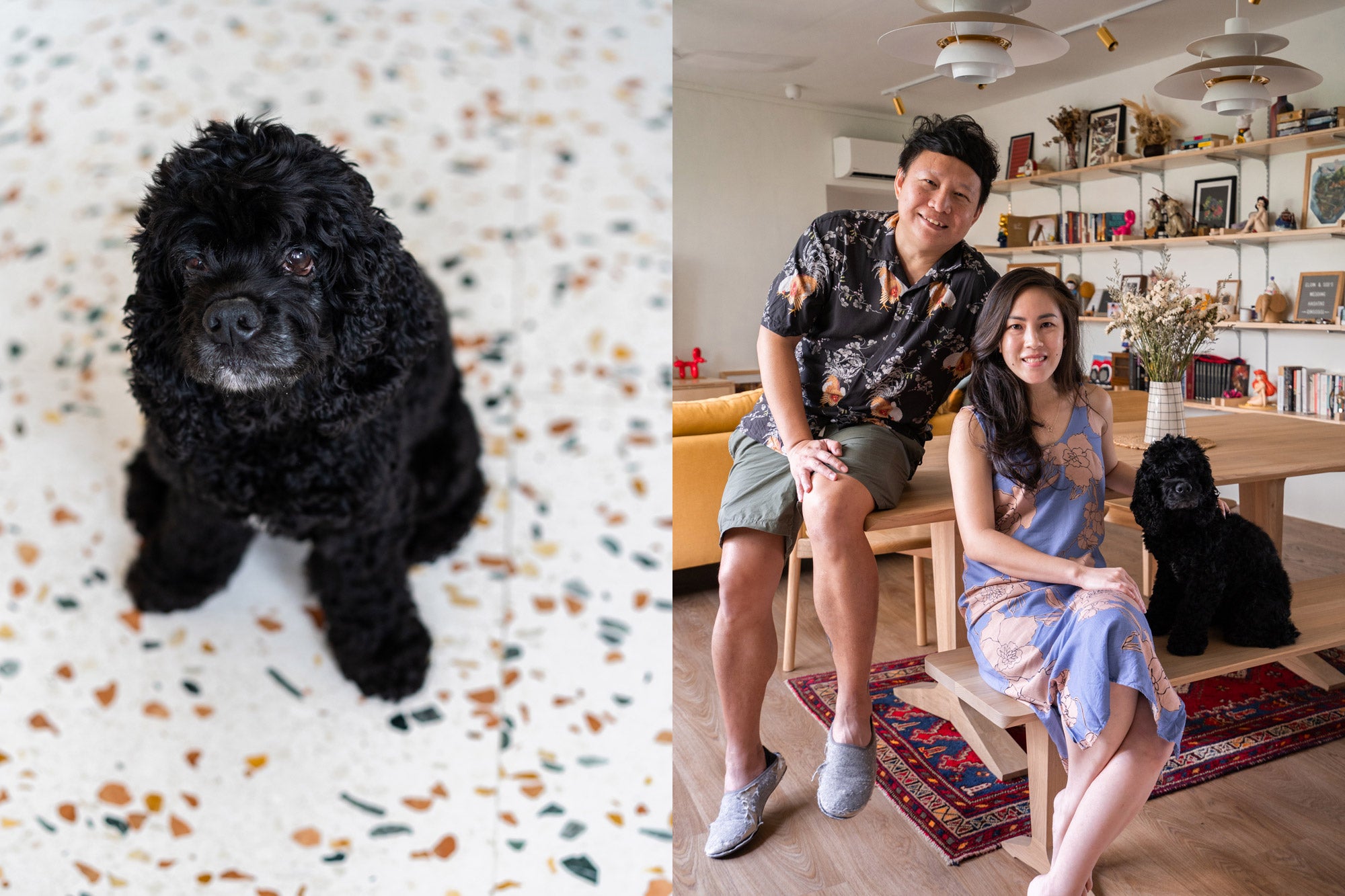 singapore couple in modern cosy home with black dog