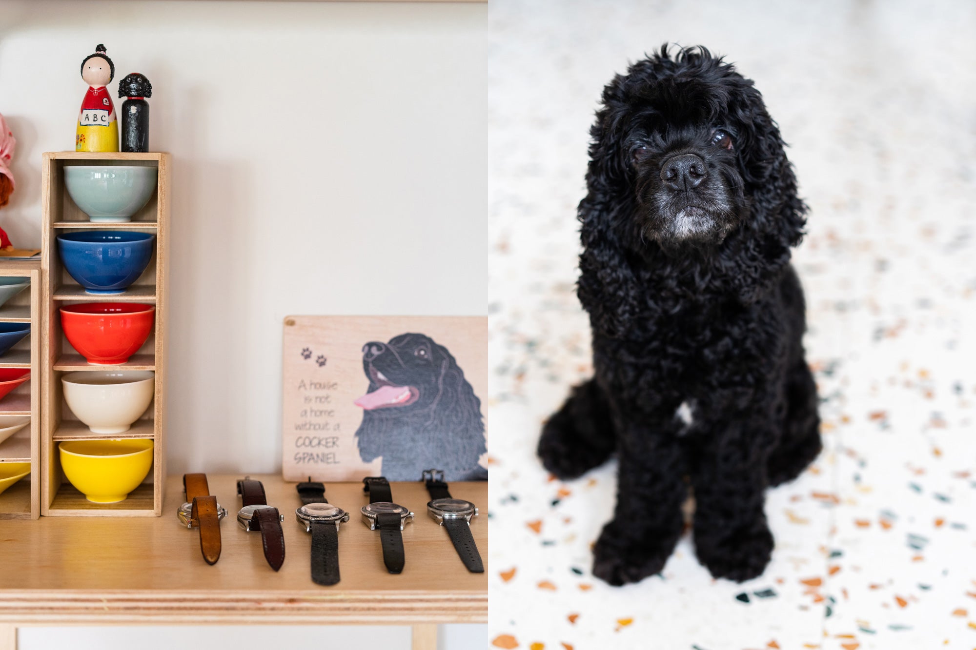 cute dog trinkets and designer watches on modern wooden shelf