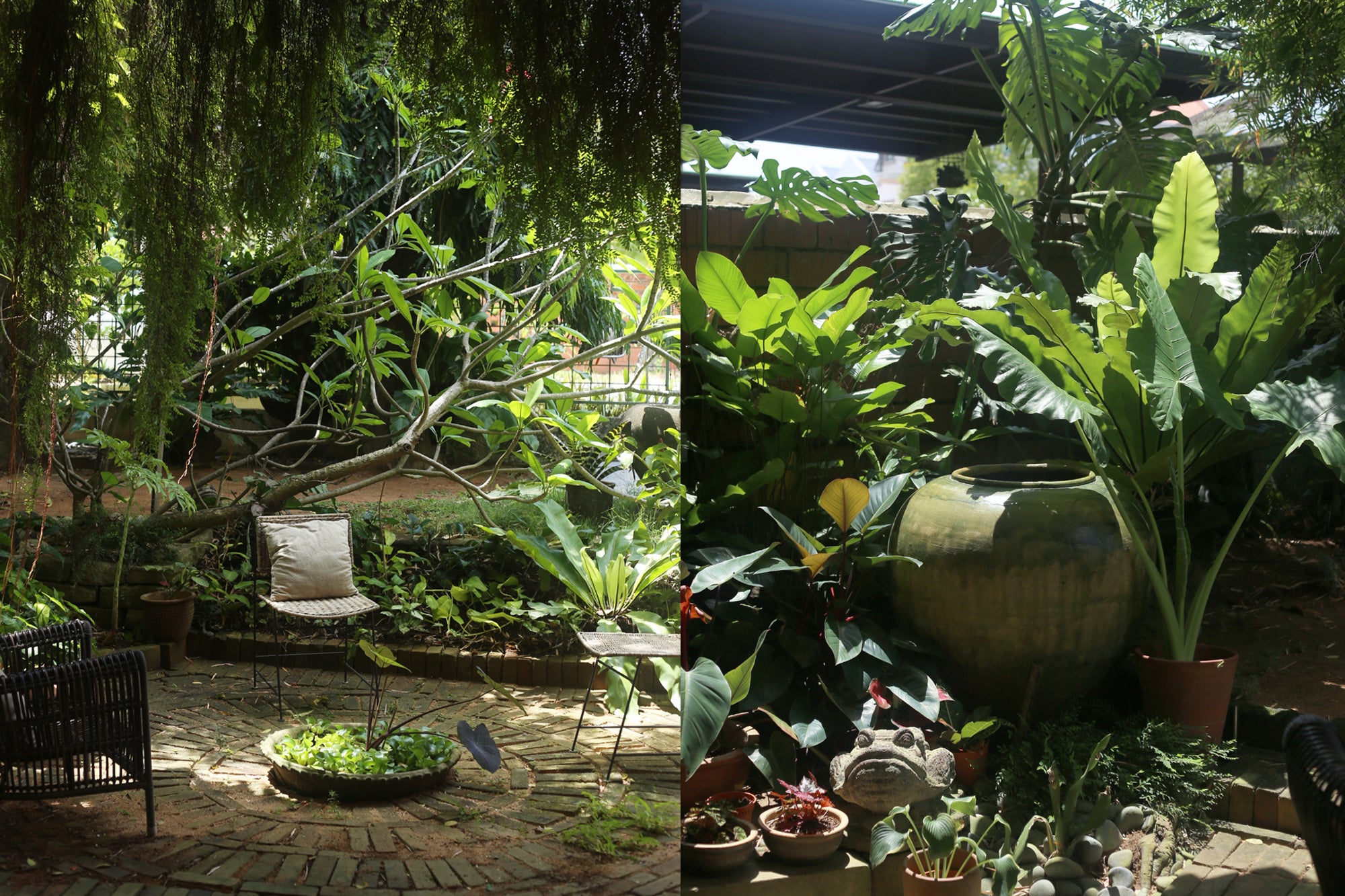 tropical home garden in singapore