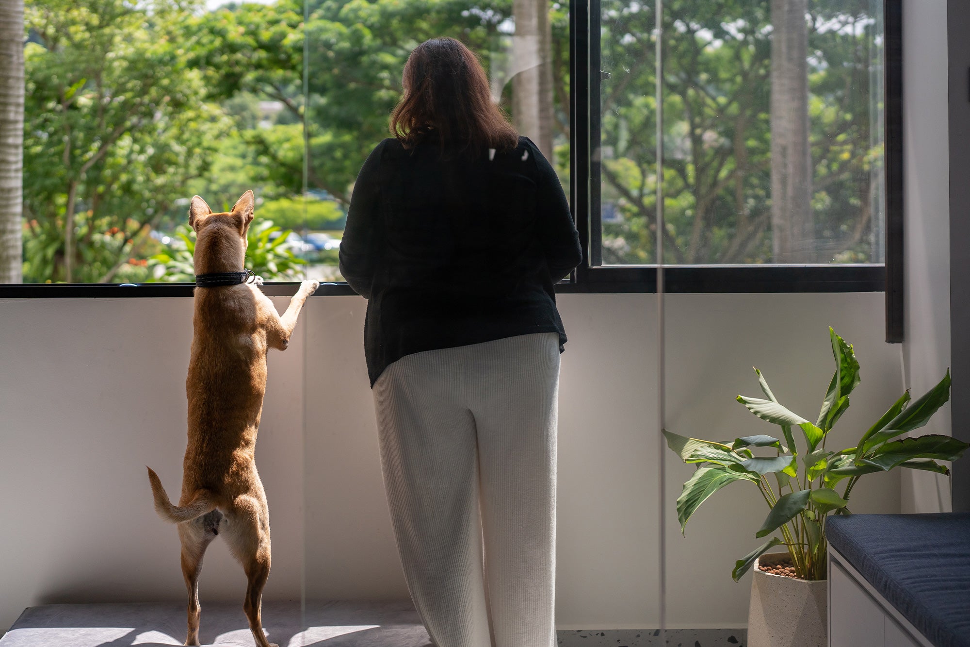 Preeti and her dog looking out of their window