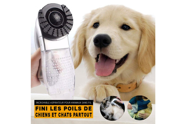 Aspirateur Silencieux De Poils De Chien Et Chat Europe Deal