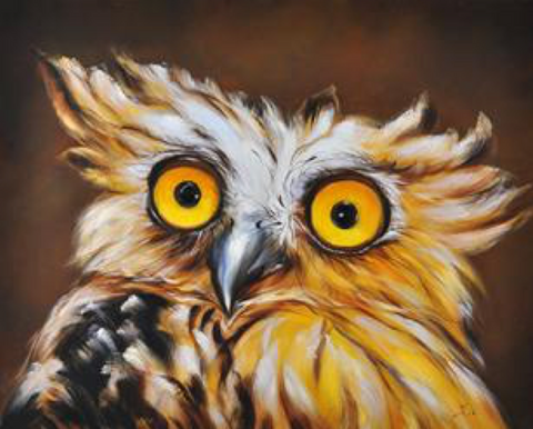 Owl-paintings