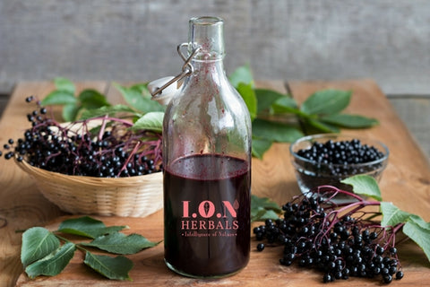 Boost Your Wellness With Elderberries