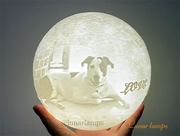 personalize moon lamp with dog photo