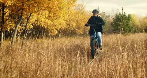 ginger riding ebike