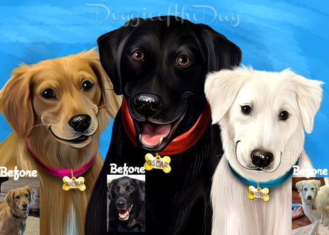 Custom Pet Portraits