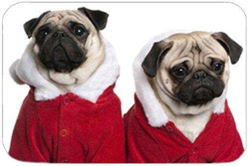 pug christmas outfit