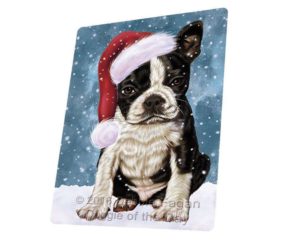 do boston terriers like snow