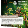 Klorane: Shampoo with Aquatic Mint