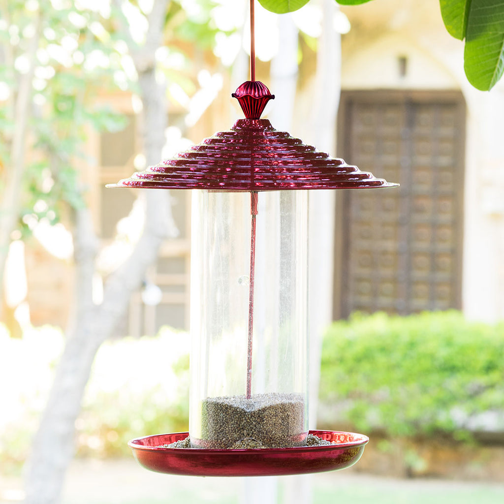 Buy Red Bistro Hanging Bird Feeder Online in India | EarthGarden