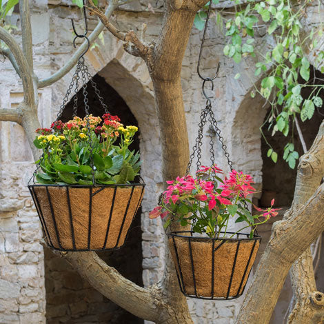 Hanging Baskets