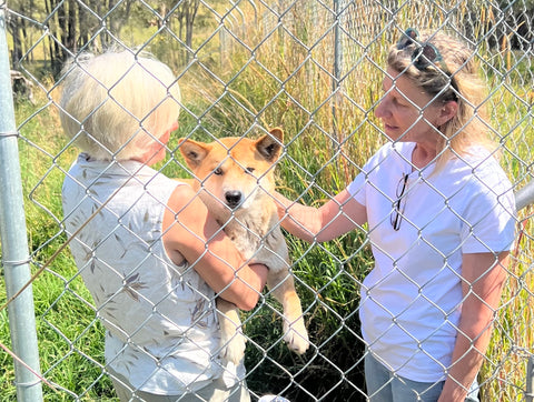 Elena and Laura with dingo Burraduc staff farm trip