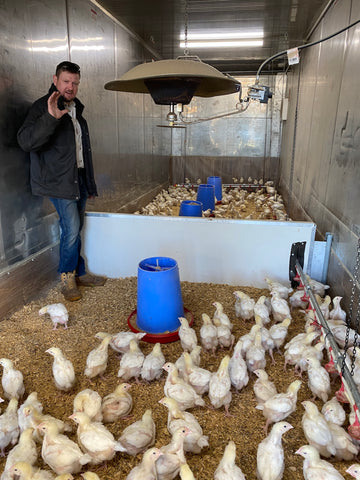 Greg with 3 week old chicks in the brooder at Altitude Farms