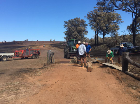 Gundooee fire aftermath: building new fencing