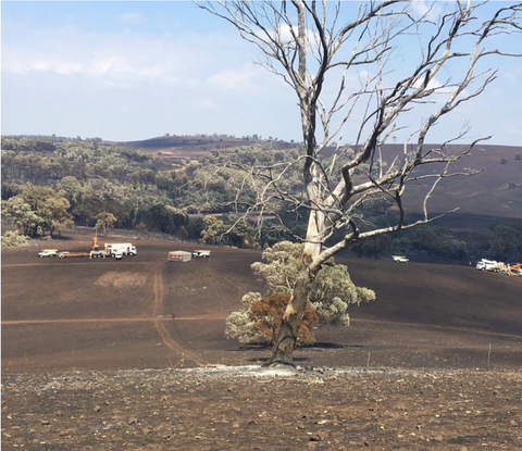 Gundooee fire aftermath: view to the house