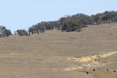 Moorlands neighbour farm 4