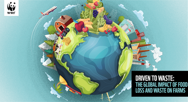 WWF Driven to Waste farm waste report