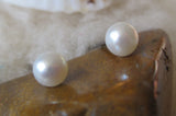 White Freshwater Pearl Titanium Stud Earrings for Sensitive Ears / Metal Allergies