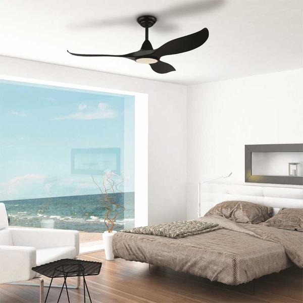 A black Noosa Ceiling fan with a light installed on a ceiling 