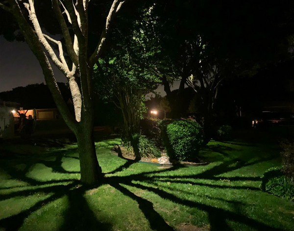 Moon lighting in trees in a backyard setting