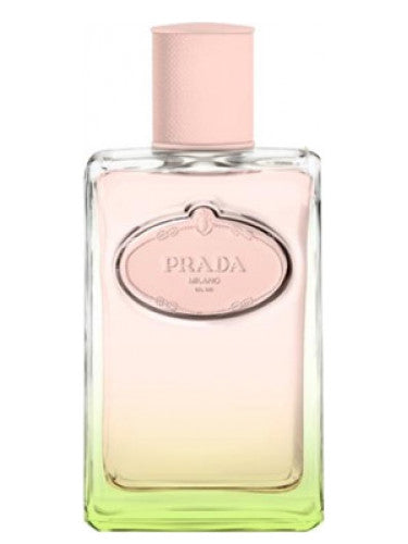 Infusion d'Iris L'Eau d'Iris by Prada – Bloom Perfumery London