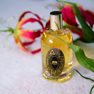 Ilanguara | Phaedon Paris | Bloom Perfumery London