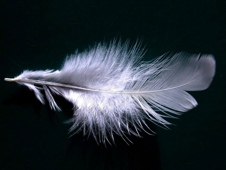 Nagoire Feathers, 1/4 Lb Light Blue Goose Nagoire Wholesale Feathers bulk  Wedding Party Craft Supplier : 4038 