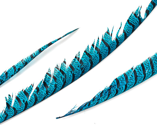 Grey Zebra Pheasant Feathers 30 inches up by the Piece – Schuman Feathers