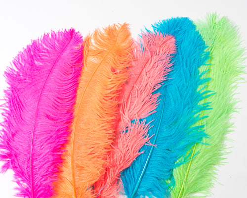 feather plumes in bulk