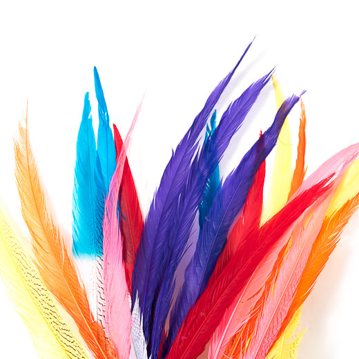  20 Pcs Hat Feathers, Assorted Feathers for Hats