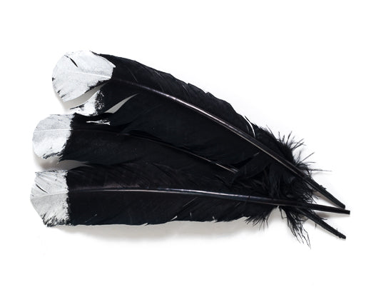 Black Feather