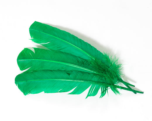 Red Quill Feathers by the Pound