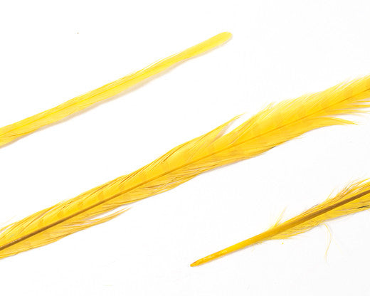 Yellow Ringneck Pheasant Feathers Bleached and Dyed 22 inches and