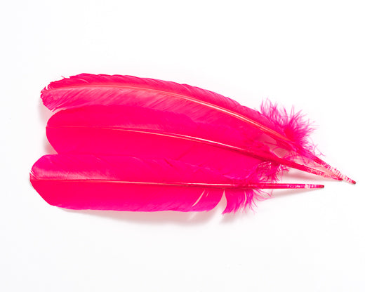 Hot Pink Quill Feathers by the Pound – Schuman Feathers