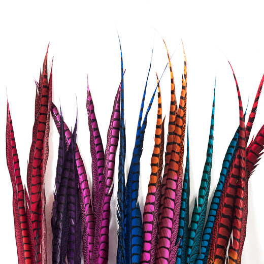 Lady Amherst Pheasant Feathers, Dyed Over Natural, 30-36 inch, per