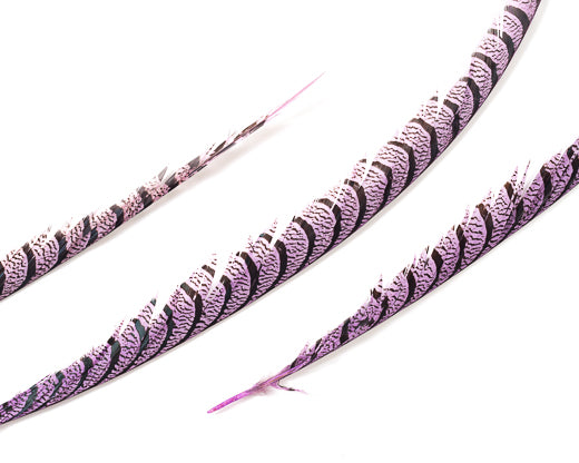 Lilac Pheasant Feathers 30 inches up by the Piece – Schuman Feathers