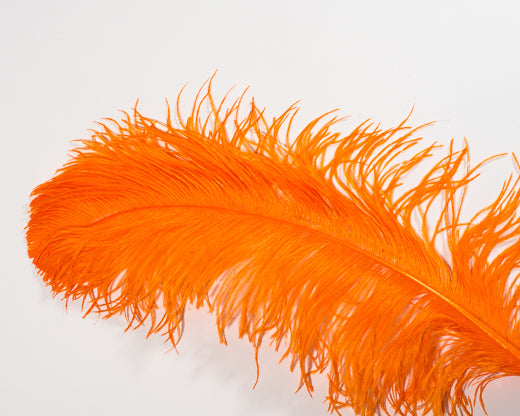 orange ostrich feathers