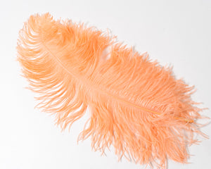 peach ostrich feathers