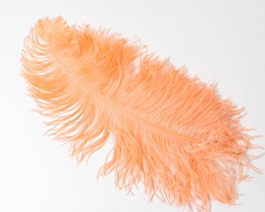 extra long ostrich feathers