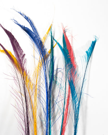 Natural Peacock Feathers 25-35 inches 100 Pack – Schuman Feathers