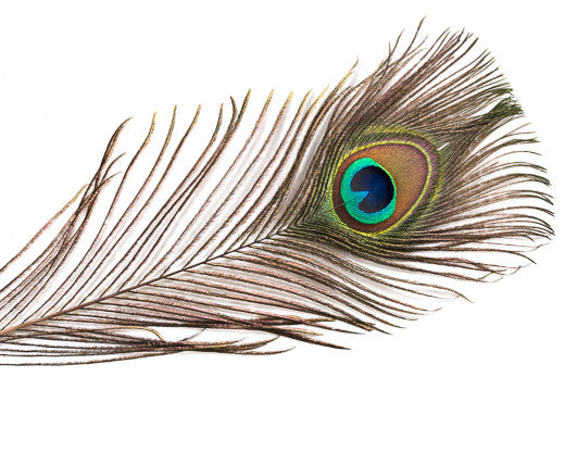  THARAHT 24pcs Peacock Feathers Long Natural in Bulk 25
