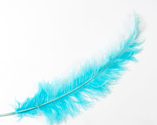teal ostrich feathers